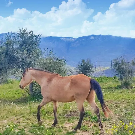 Appartamento In Collesano Pa Lascari
